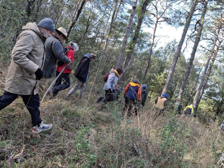 20250119_114432 (1) (1)