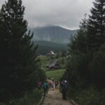 pexels-alex-blokstra-300443-1311441